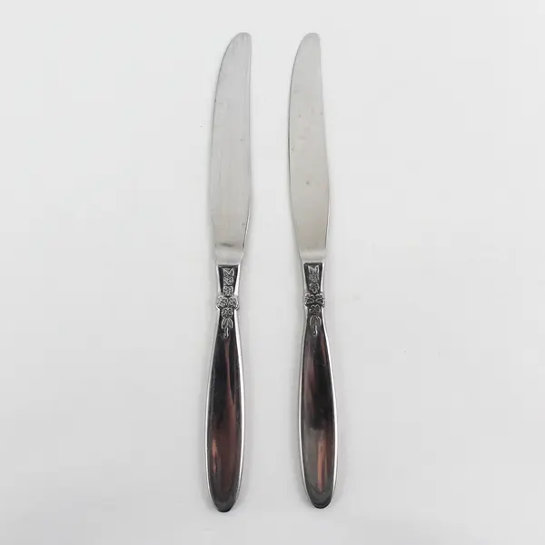 Lot of 2 Oneida Silver Memoir Pattern 18/10 Stainless Dinner Knives 9" Rare HTF