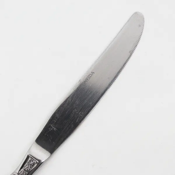 Lot of 2 Oneida Silver Memoir Pattern 18/10 Stainless Dinner Knives 9" Rare HTF