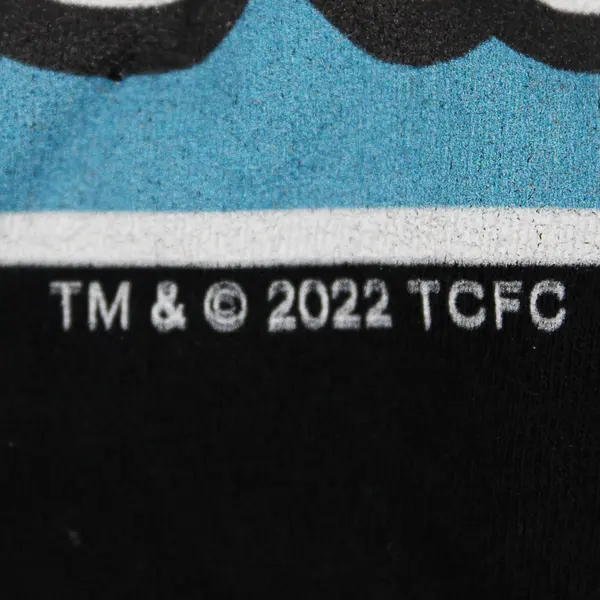 Care Bears Caring Grandma Black T-Shirt Women's Size 2X