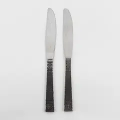 Lot of 2 Cambridge Silver Cordoba Pattern Stainless Dinner Knives 8.5" Good