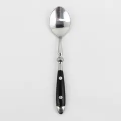 Cambridge Silver Unknown Pattern Black Handle SS Teaspoon HTF Pattern 6.75"