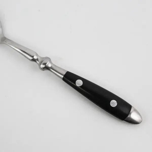 Cambridge Silver Unknown Pattern Black Handle SS Teaspoon HTF Pattern 6.75"