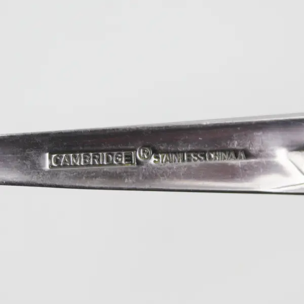 Lot Of 3 Cambridge Silver Blossom Sand Pattern 18/0 SS Salad Forks 6.75" Good