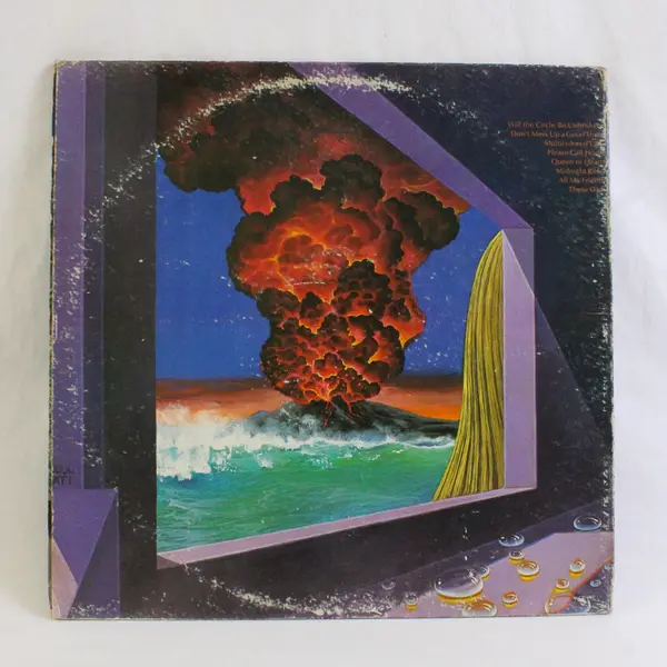 Gregg Allman Vinyl LP Laid Back Capricorn Records