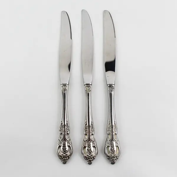 Lot of 3 Oneida Silver Renoir-Pembrooke Stainless Dinner Knives 9" Long Good