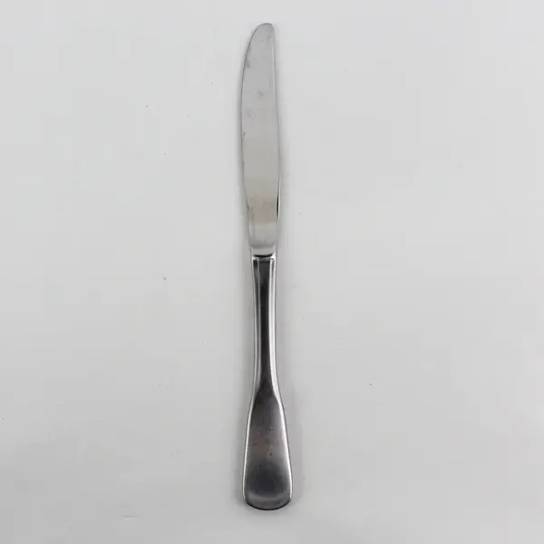 Oneida Silver Quincy Pattern 18/0 Stainless Solid Dinner Knife 9" Rare Piece 