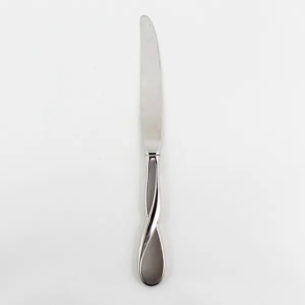 Oneida Silver Satin Aquarius Pattern 18/10 Stainless Dinner Knife 9.75" Good