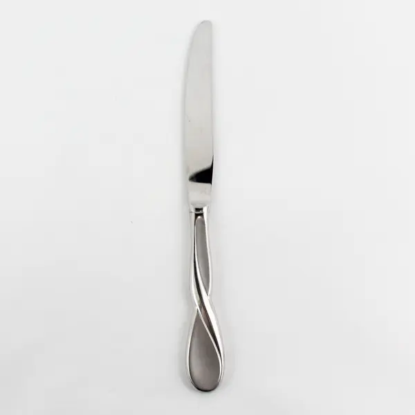 Oneida Silver Satin Aquarius Pattern 18/10 Stainless Dinner Knife 9.75" Good