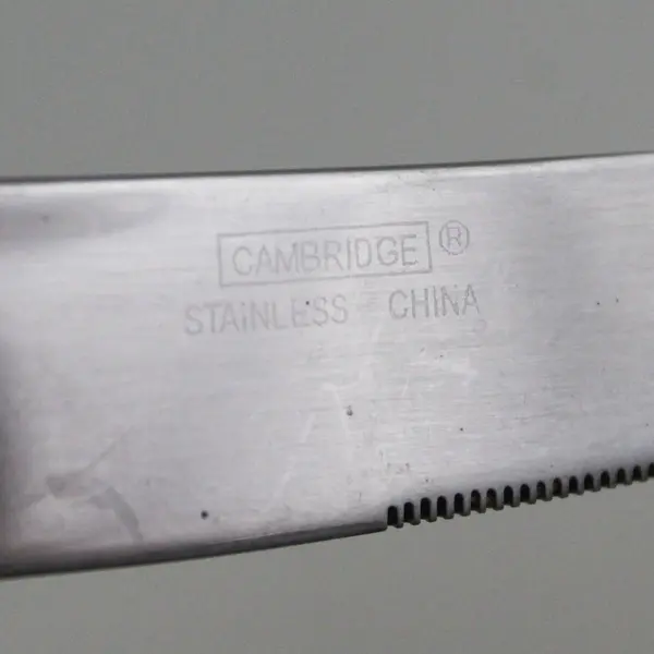 Cambridge Silver CBS181 Pattern 18/8 SS Dinner Knife Hndl Curves Down 8.5" HTF
