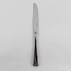 Oneida Silver Gala-Impulse Pattern Stainless Steel Modern Hollow Knife 9" Good
