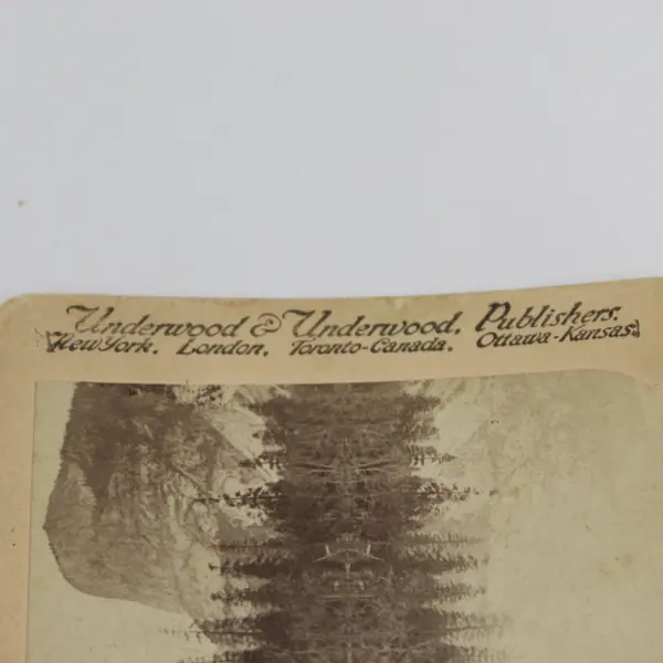 Mirror Lake Yosemite Valley California Photo Stereoview Underwood 1894