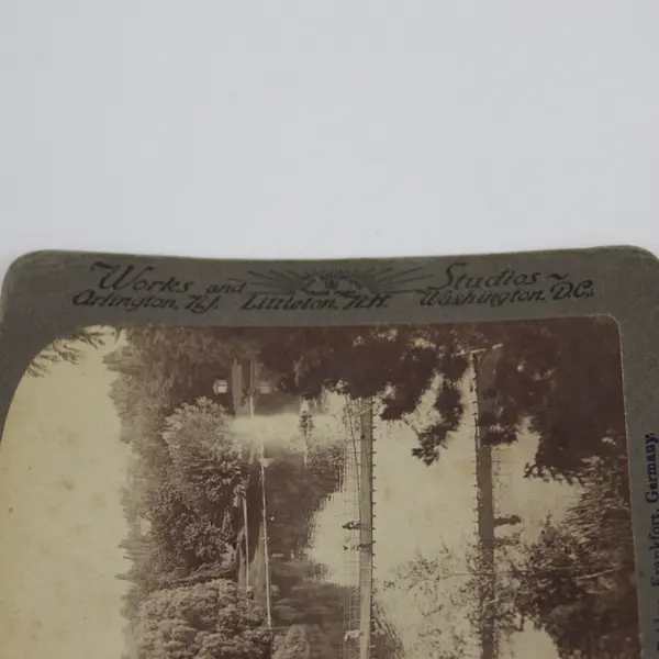 Palm Garden Frankfurt Germany Photo Stereoview Underwood 1894