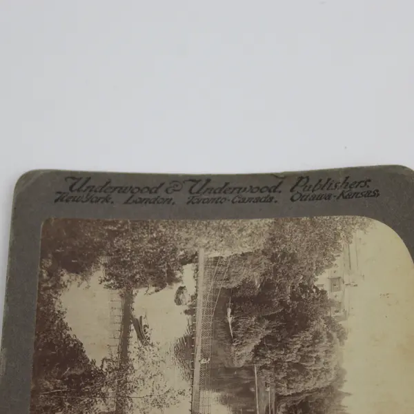 Palm Garden Frankfurt Germany Photo Stereoview Underwood 1894