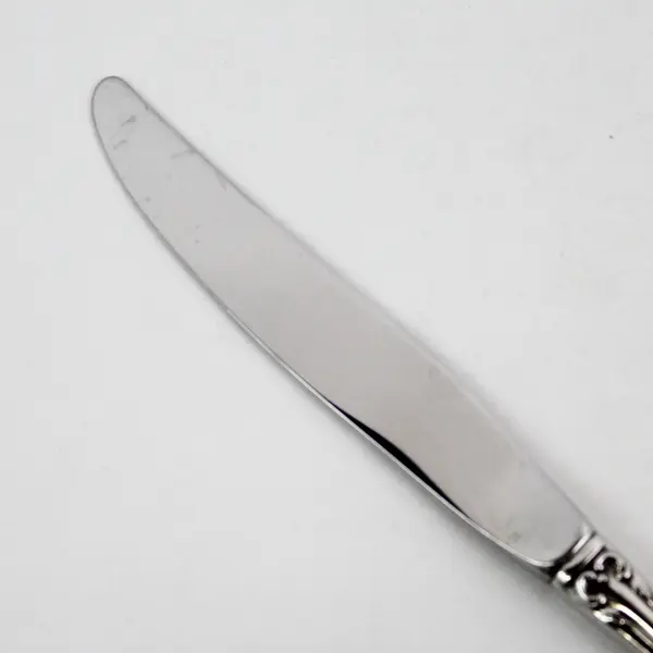 Oneida Silver Louisiana Pattern Stainless Modern Hollow Dinner Knife 9" Good 