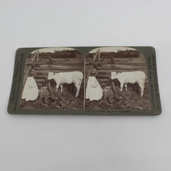 I's Bringed You A Little Dolly, Bessy Victorian Photo Stereoview Underwood 