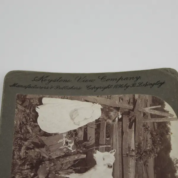 I's Bringed You A Little Dolly, Bessy Victorian Photo Stereoview Underwood 