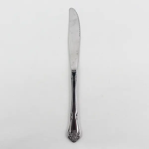 Oneida Silver Arbor Rose-True Rose Pattern SS Solid Dinner Knife 8.25" Good 