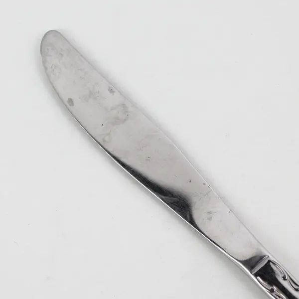 Oneida Silver Arbor Rose-True Rose Pattern SS Solid Dinner Knife 8.25" Good 