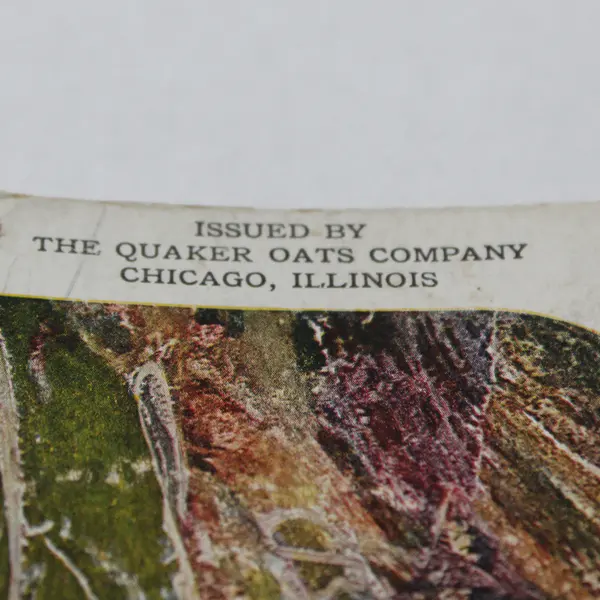 Set Of 2 Norway Color Litho Stereoview Quaker Oats 1906