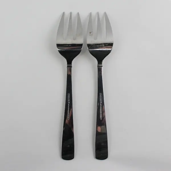 Lot Of 2 Cambridge Silver Unknown Pattern 18/10 SS Cold Meat Serving Forks 8.5"