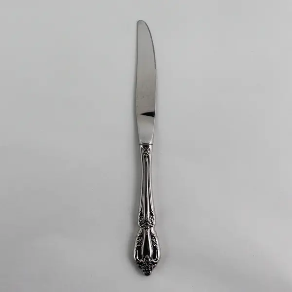 Oneida Silver Raphael Pattern Stainless Hollow Dinner Knife 9" Long Good