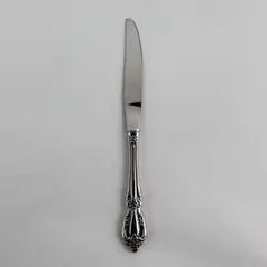 Oneida Silver Raphael Pattern Stainless Hollow Dinner Knife 9" Long Good