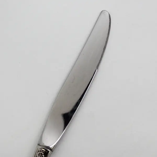 Oneida Silver Raphael Pattern Stainless Hollow Dinner Knife 9" Long Good