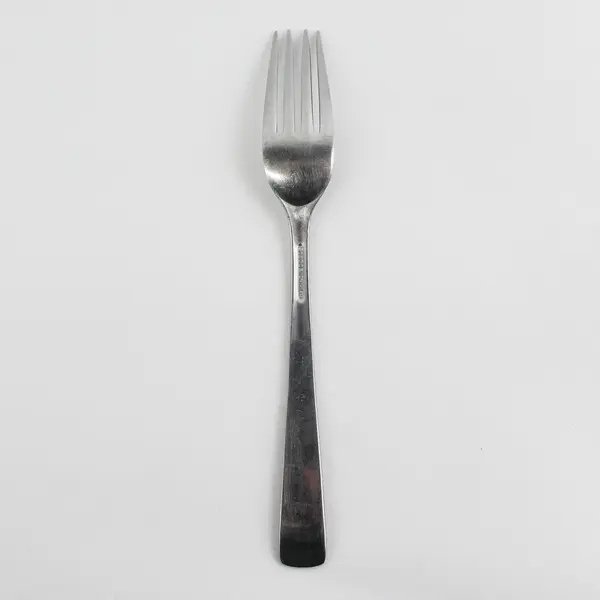 Stegor Stainless Dinner Fork 7.5" Rare Good Condition