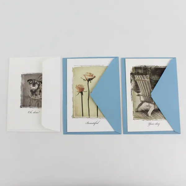 Lot of 9 Simple Charming Birthday Cards with Envelopes