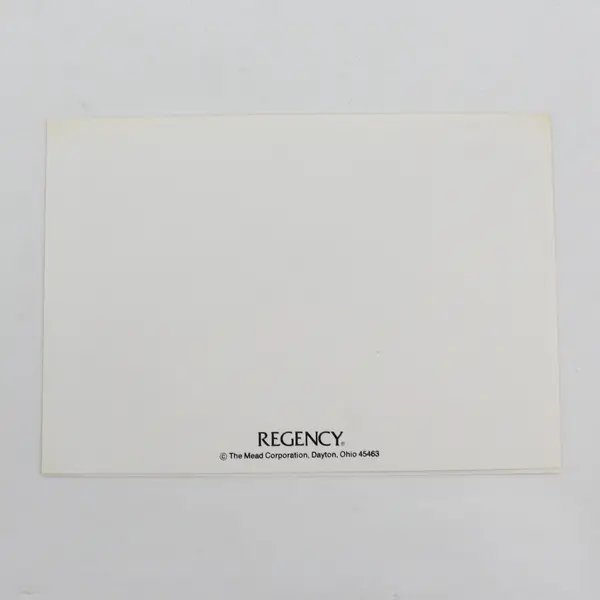 Set of 2 VTG 1978 Regency Notecards with Envelopes Skating Garfield