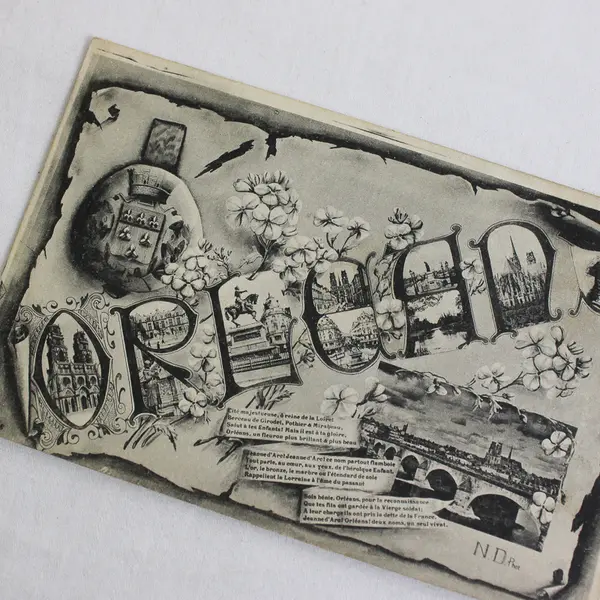 Vintage Orleans France Litho Postcard 1910s Neurdein Freres