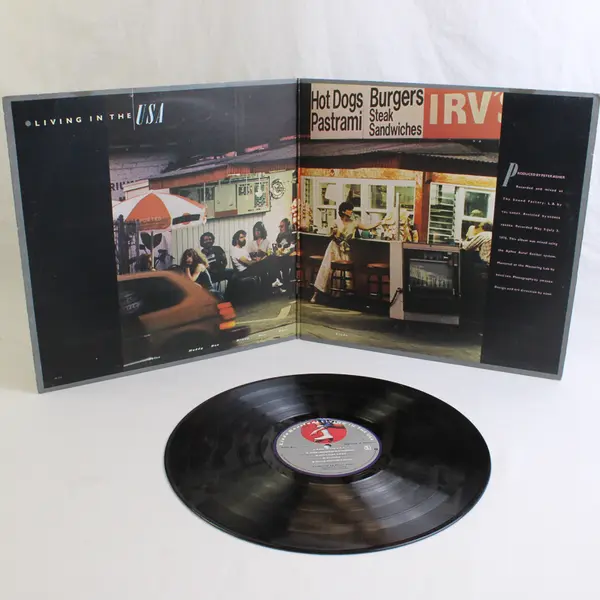 Linda Ronstadt Living in the USA Vinyl Record Asylum Records