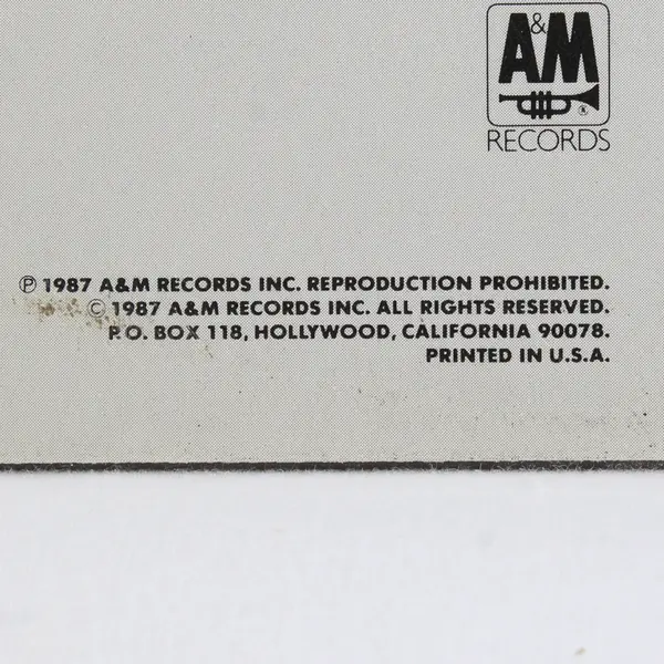 Into the Fire by Bryan Adams 12" Vinyl Record