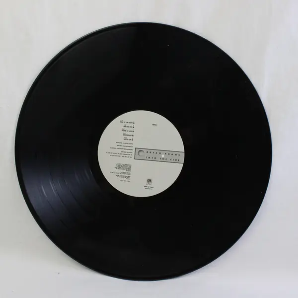 Into the Fire by Bryan Adams 12" Vinyl Record