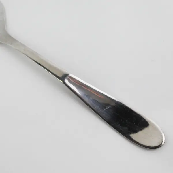 Gourmet Settings Rare HTF Unknown Pattern 18/8 Stainless Serving Fork 9" 