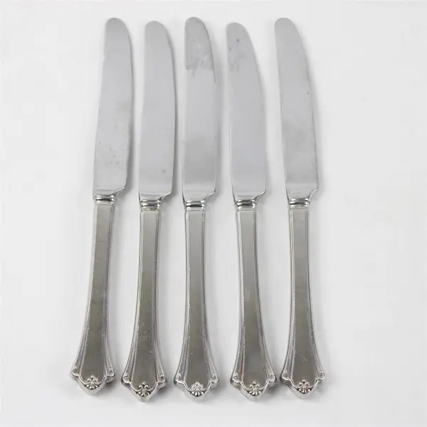 Set of 5 Oneida Anticipation Stainless  New French Hollow Knives