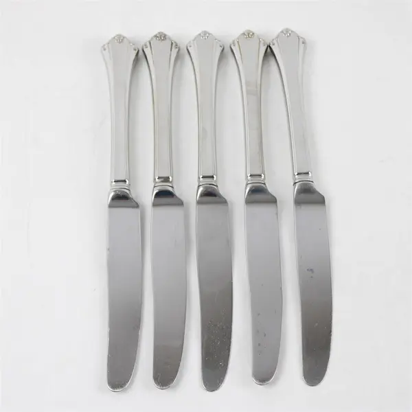 Set of 5 Oneida Anticipation Stainless  New French Hollow Knives