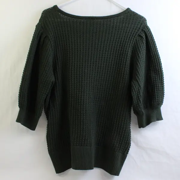 Terra & Sky Dark Green Half-Sleeve Sweater Women's 2X