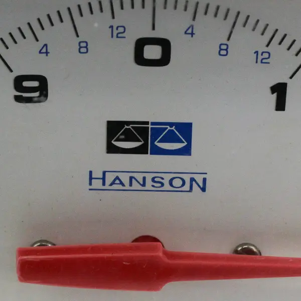 Vintage Hanson 10lb Weight Adjustable Utility Kitchen Scale Made in USA