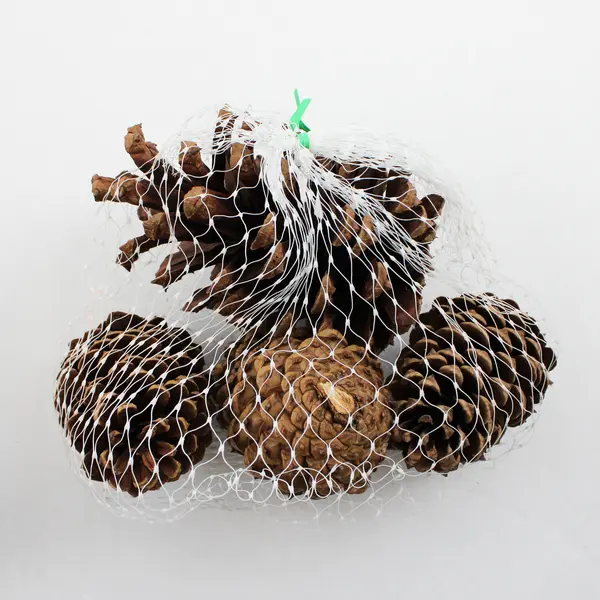 Cinnamon Scented Pinecones for Crafts Holiday Wreaths Garlands Potpourri