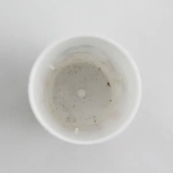 Vintage 1980s Disney Mousercise Child's Cup Mickey Minnie Pluto Goofy USA Eagle