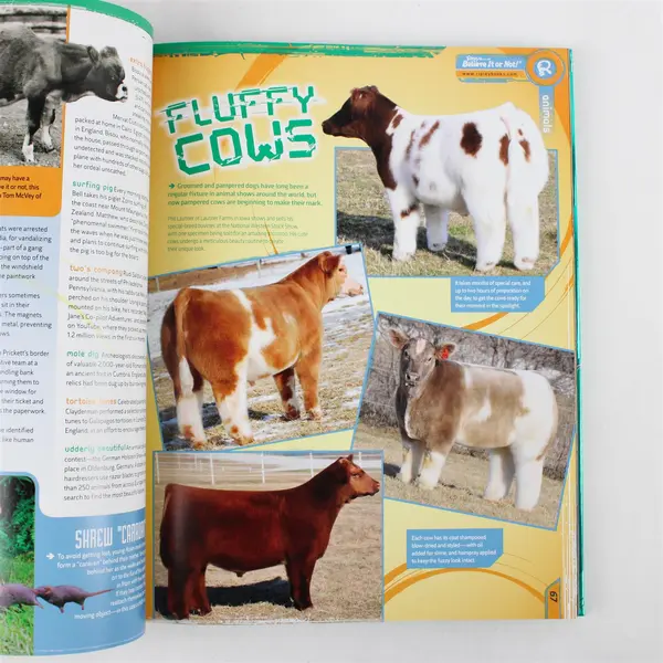 Ripley's Believe It Or Not! Reality Shock 2014 Hardcover Ripley Publishing