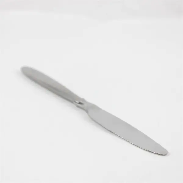 Set of 4 Oneida Sparta French Solid Stainless Dinner Knives