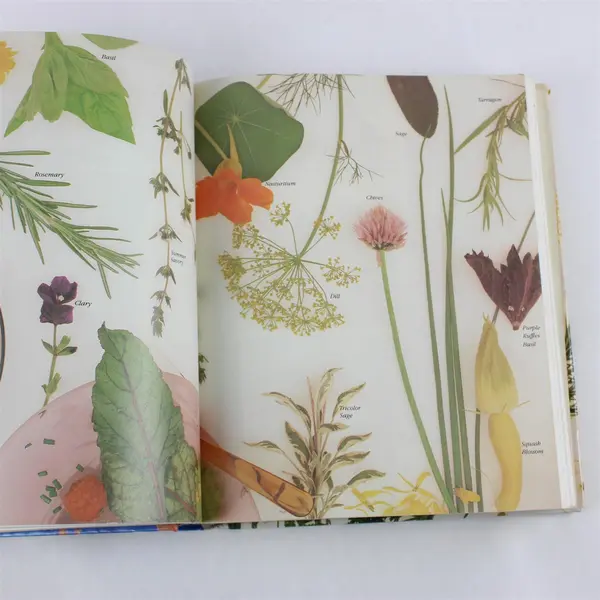 Rodale's Illustrated Encyclopedia of Herbs by Claire Kowalchik Hardcover