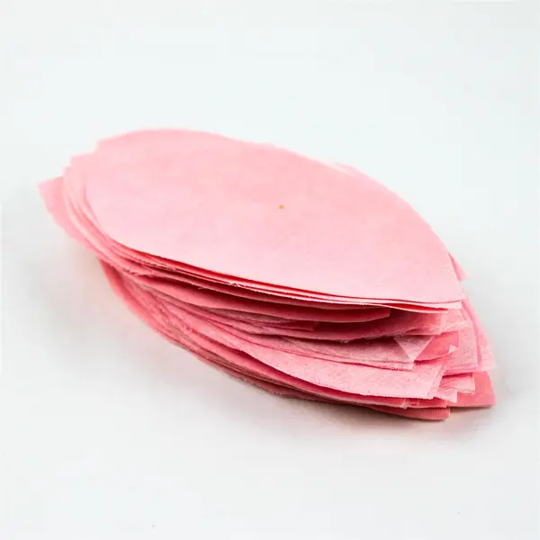 Applique Tulip Garden Bedspread Pattern Sewing Quilting Floral