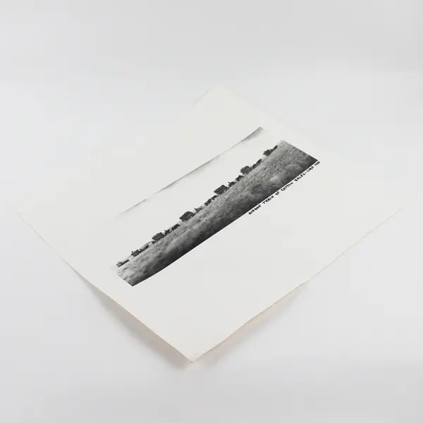 Vintage Wagon Train Of Cotton Bales Circa 1900 Wide Format Photo Reprint