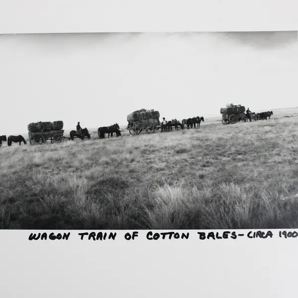 Vintage Wagon Train Of Cotton Bales Circa 1900 Wide Format Photo Reprint