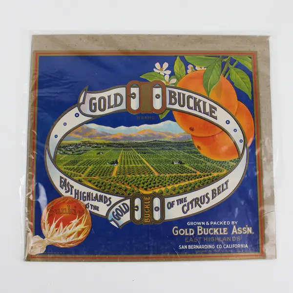 Gold Buckle Brand Orange Crate Label Sunkist San Bernardino California 