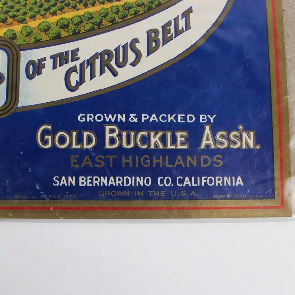 Gold Buckle Brand Orange Crate Label Sunkist San Bernardino California 