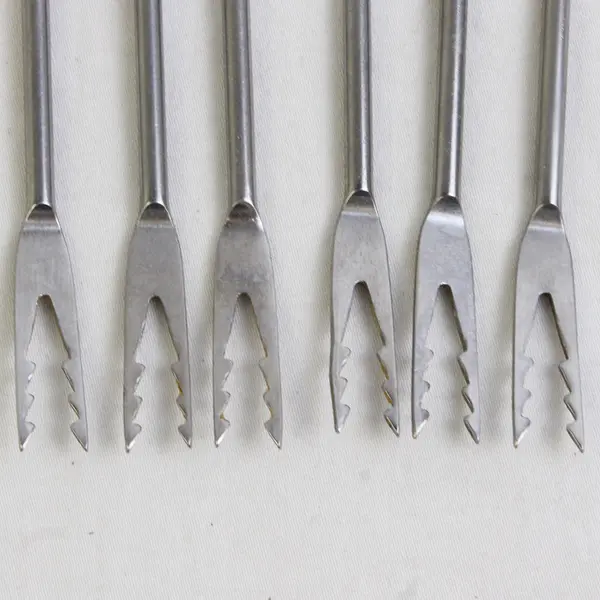 Coronado Stainless Steel  Fondue Forks Set 6 pcs Each 11" Long